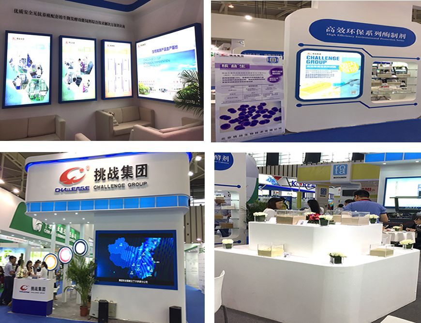 中國畜牧業(yè)博覽會展臺設(shè)計(jì)效果圖